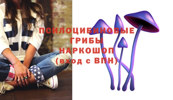 молекула духа Горно-Алтайск