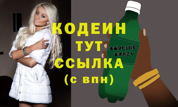 гидра Горняк