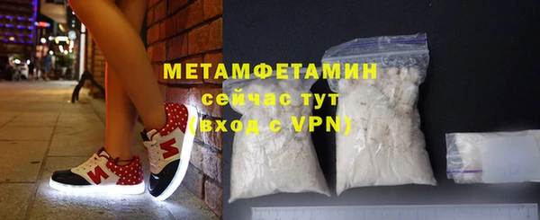 гидра Горняк