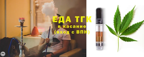 гидра Горняк