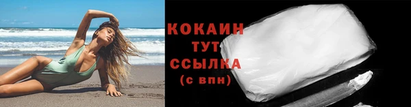 гидра Горняк