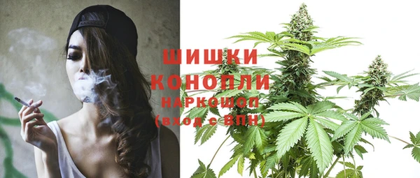 молекула духа Горно-Алтайск