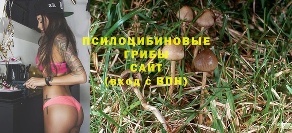 гидра Горняк